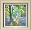 Bluebell (bridlepath) (Framed)