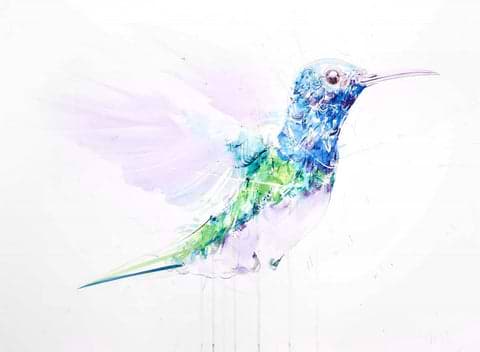 Hummingbird V