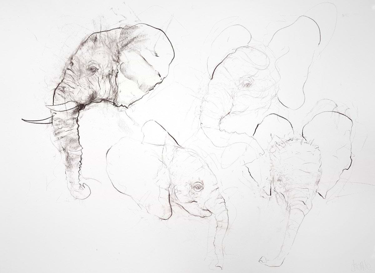 Elephant Study Sheet II