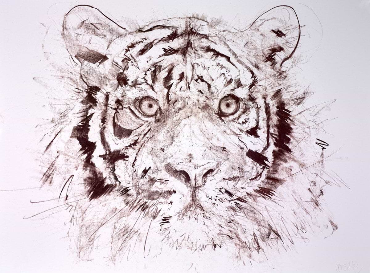Tiger Study X