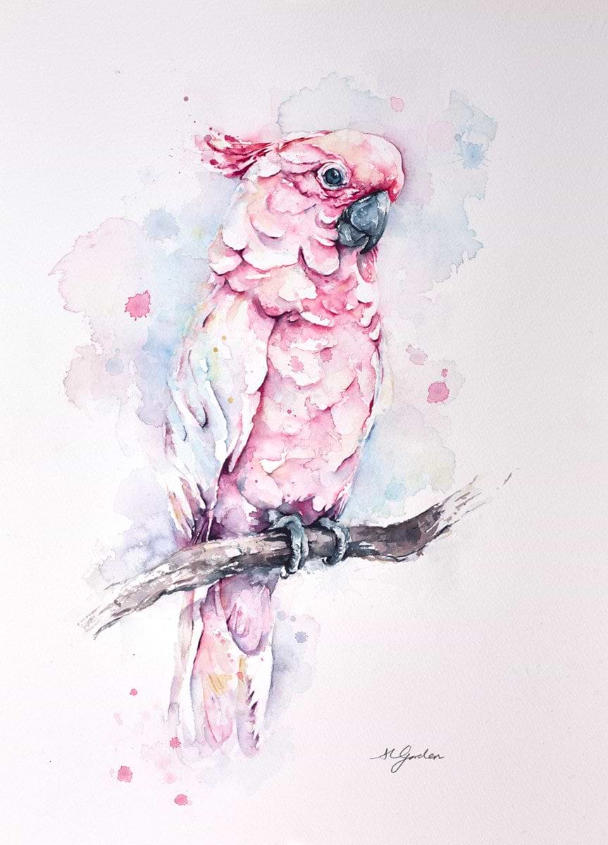 Charasmatic Pink Cockatoo
