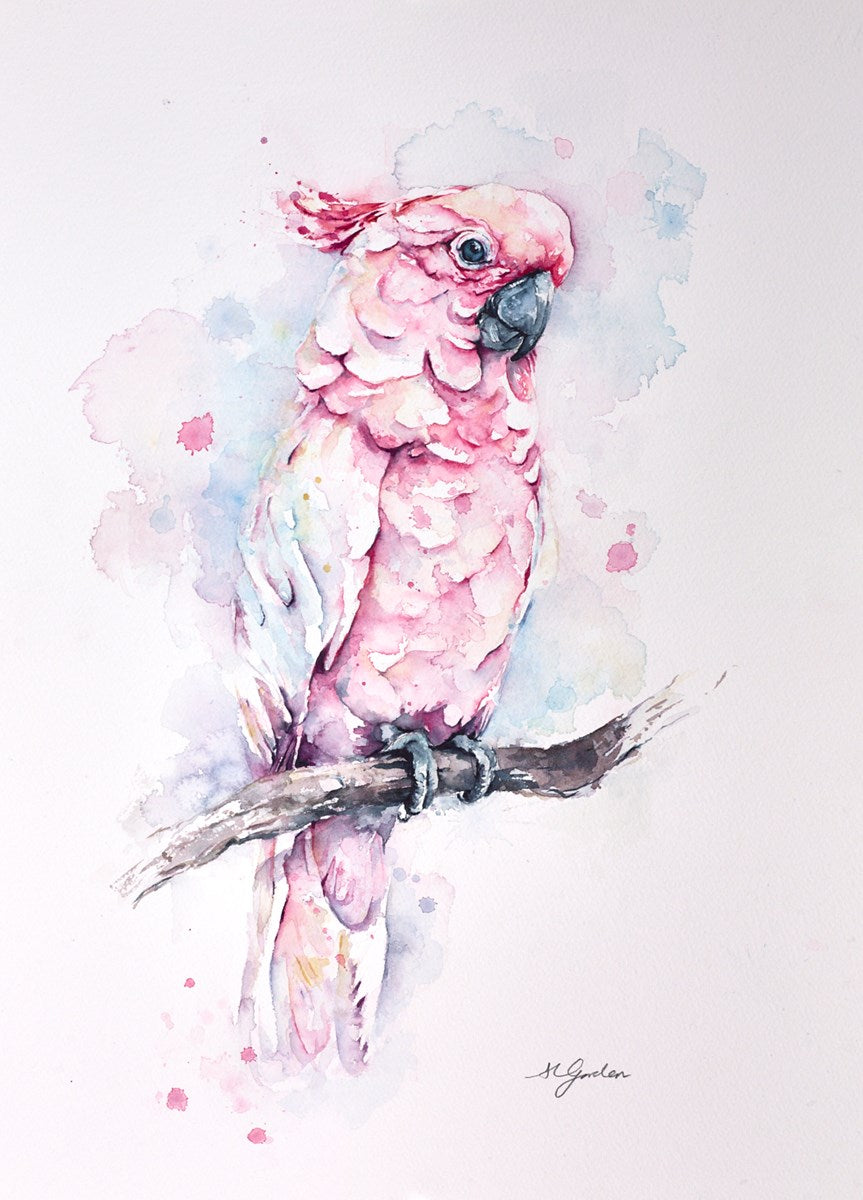 Charasmatic Pink Cockatoo