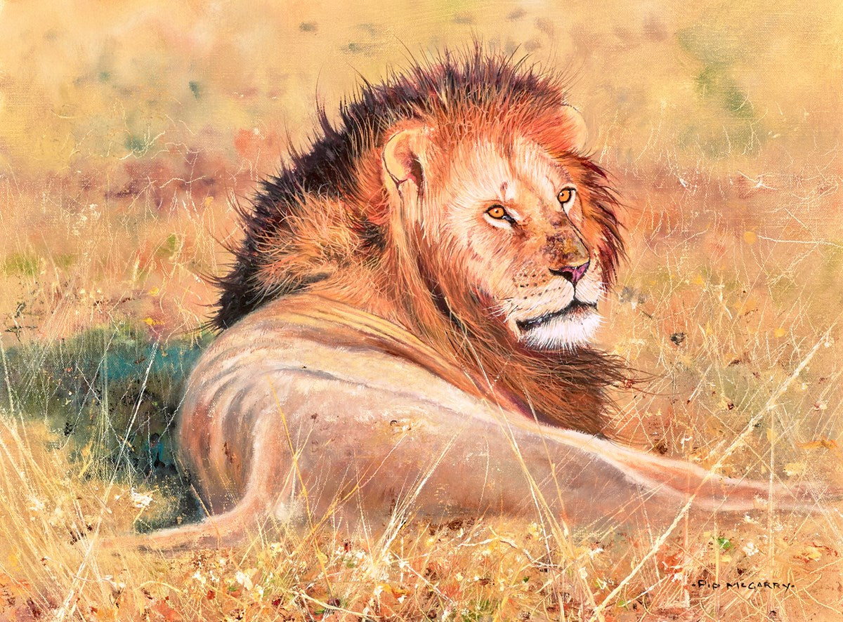 King Of The Plains