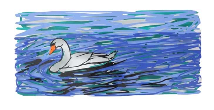 Swimming Swans