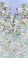 Summer Wildflowers