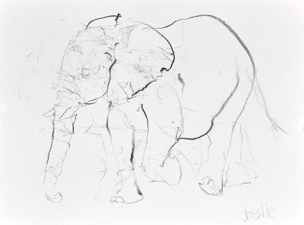 Elephant Study XIX