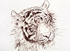 Tiger Study IX