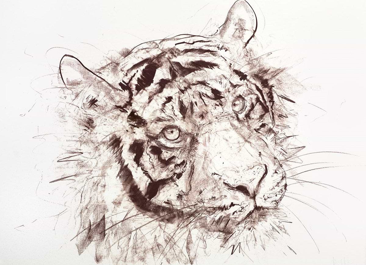 Tiger Study IX