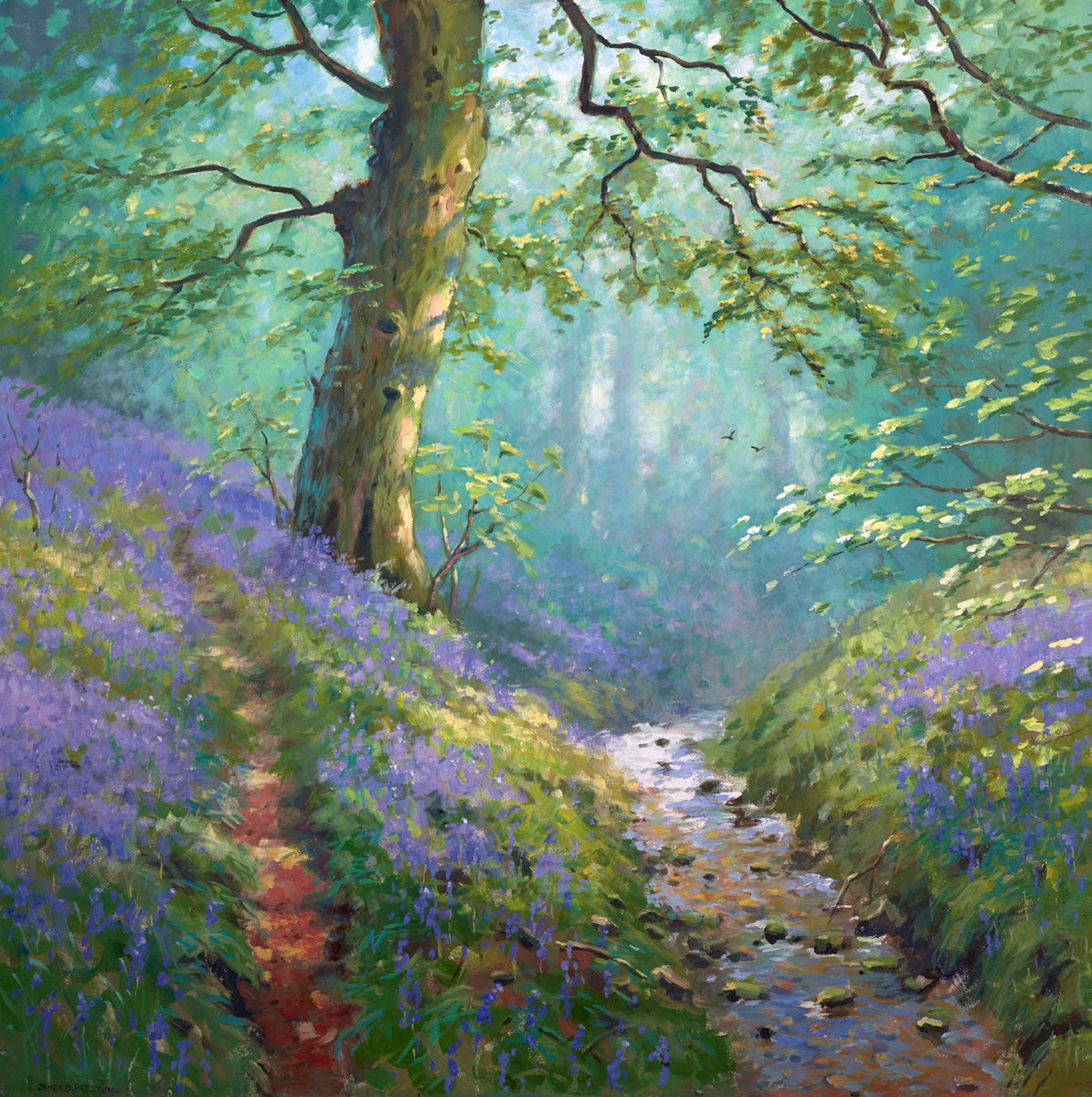 Bluebells Stream