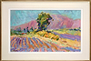 Mont Ventoux, Provence