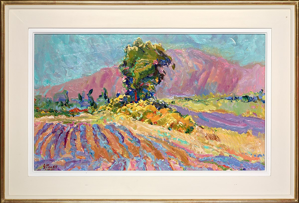 Mont Ventoux, Provence