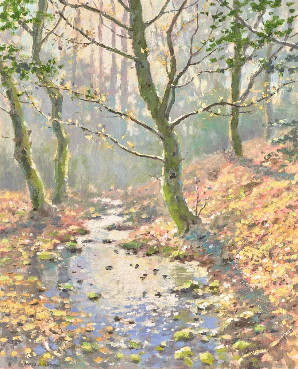Morning Sunlight II