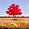 El Arbol Rojo