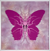 Therapy - Pink Pine