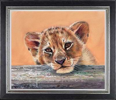 Lion Cub Resting (Framed)