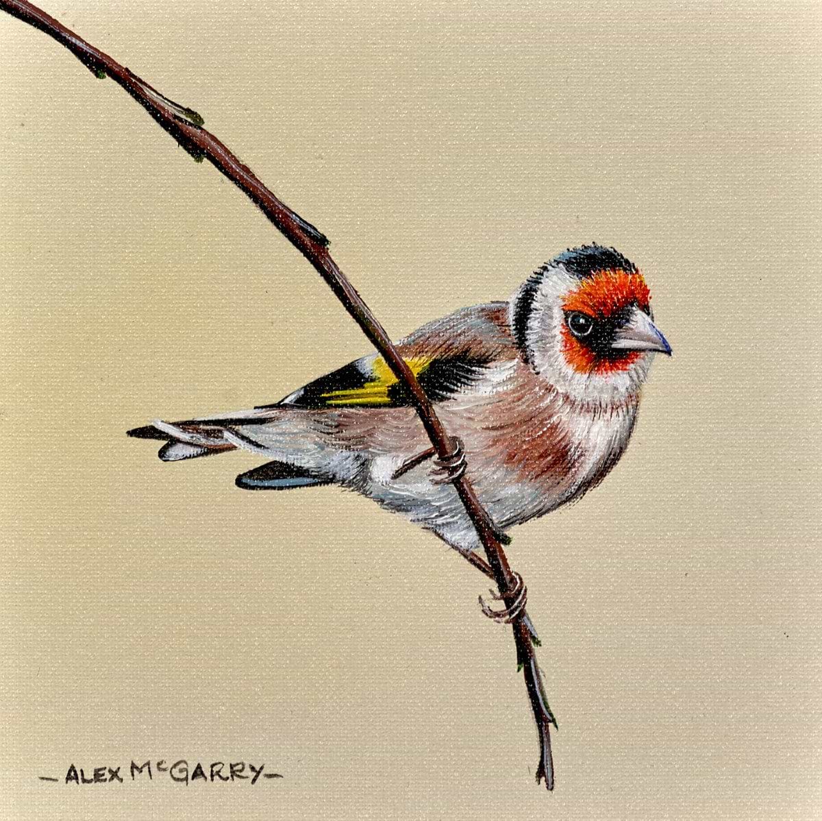 Goldfinch II