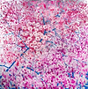 Hanami Silver I