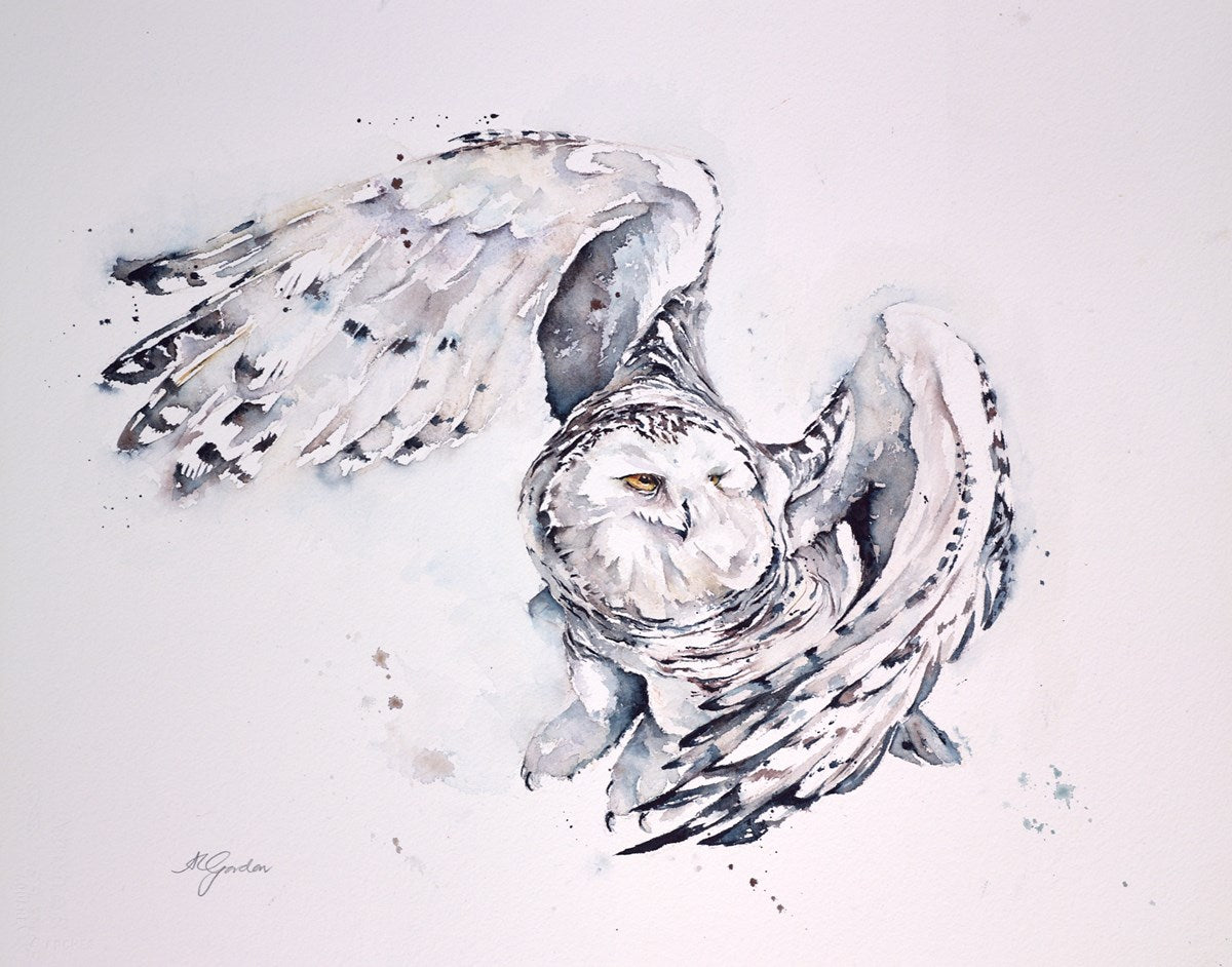 Snow Owl In Flight
