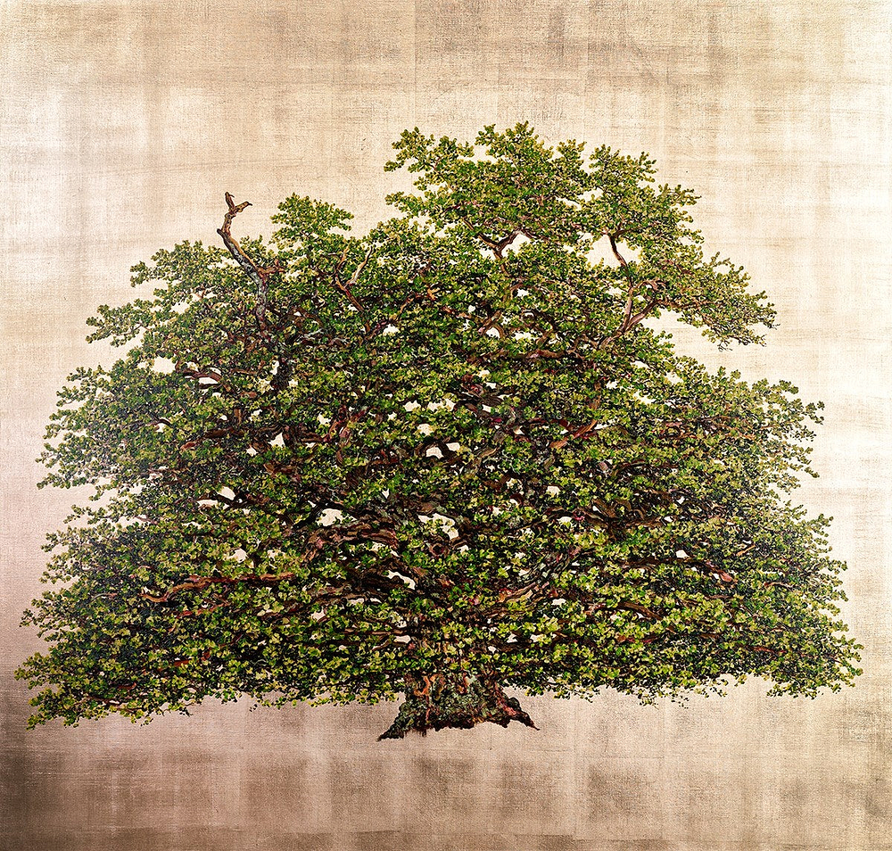 Bollingbroke Oak