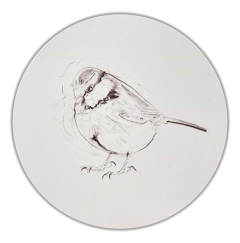 Blue Tit Sketch I