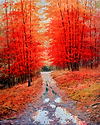Lluvia en Otoño