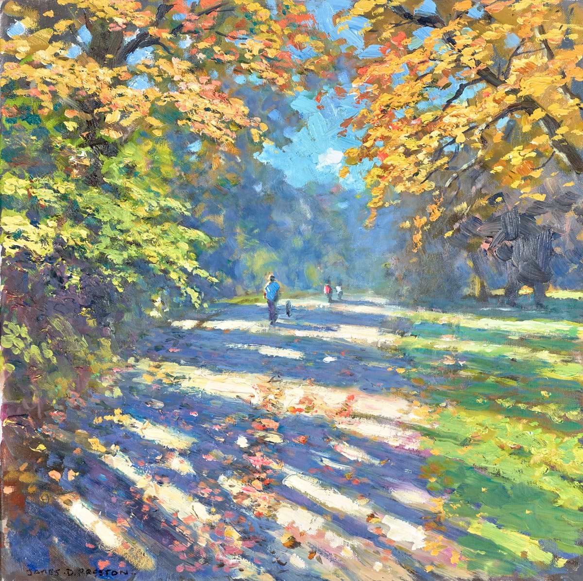 Darley Park