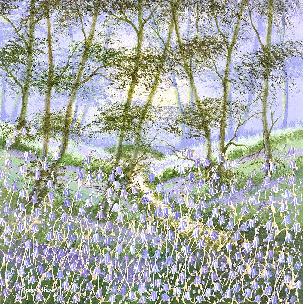 Woodland Bluebells II