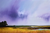 Summer Rainfields