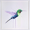 Hummingbird I (Deluxe Collector's Edition) (Framed)