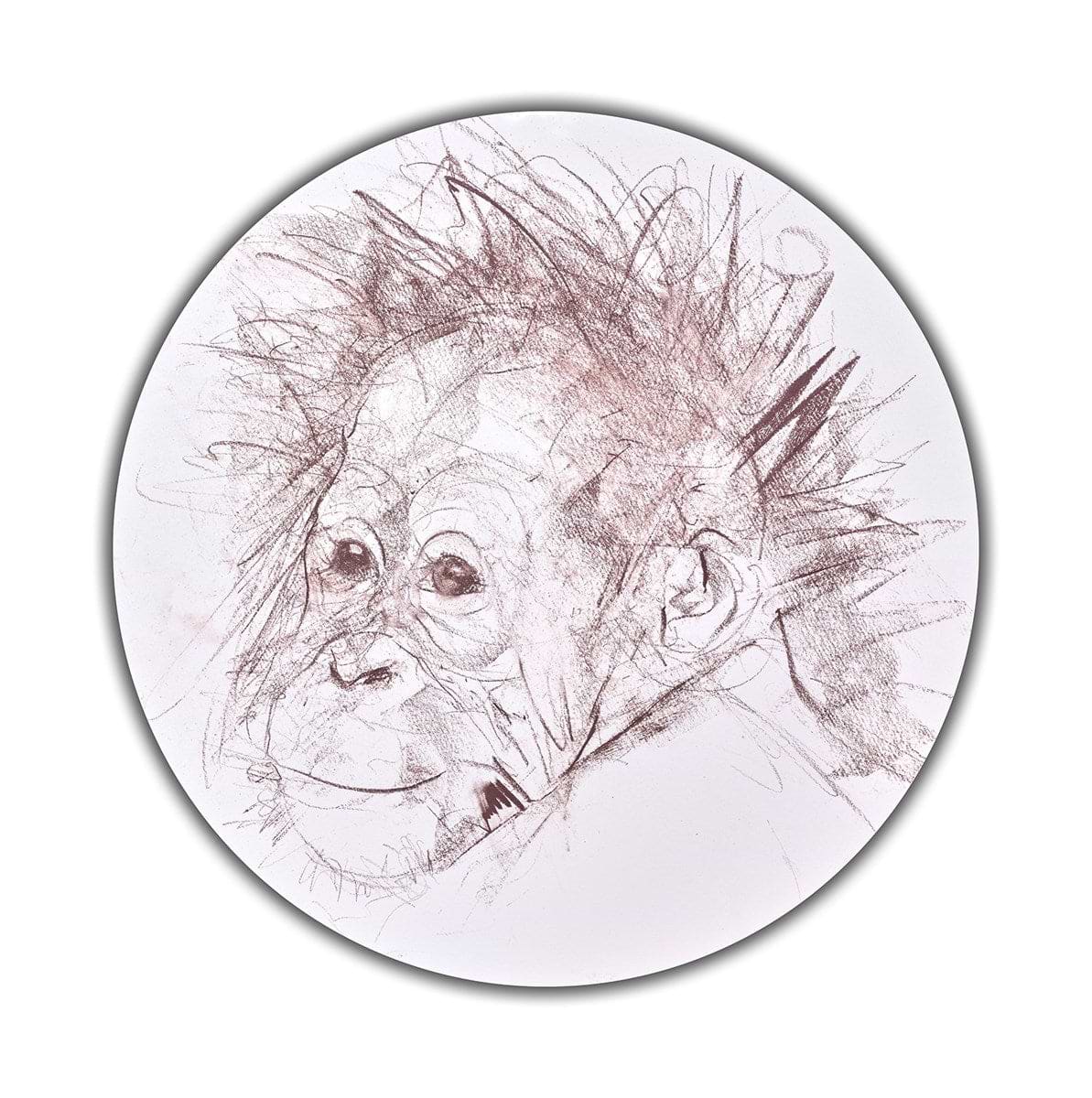 Baby Orangutan Study III