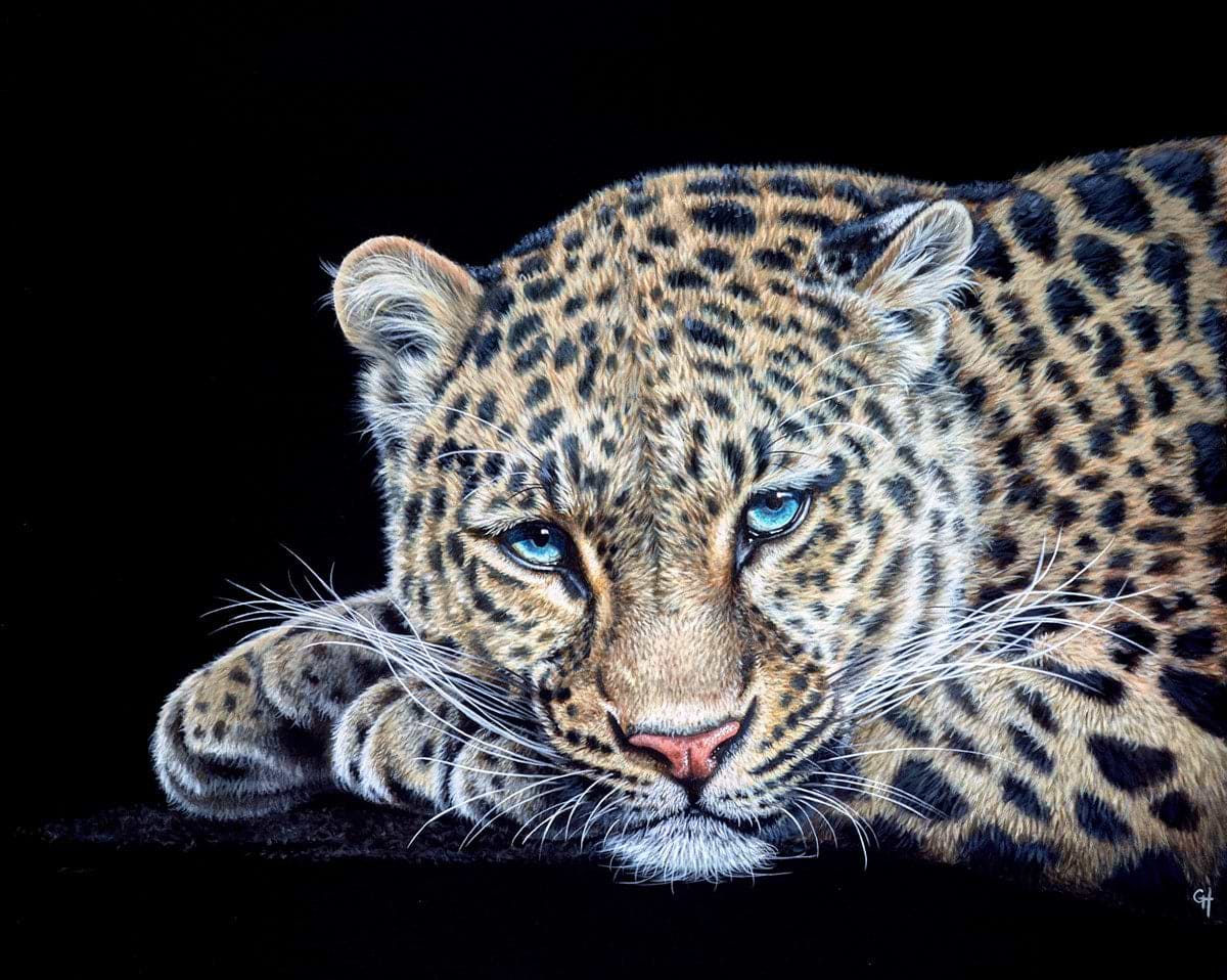 Relaxing Leopard