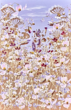 Blooms of Bliss III