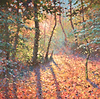 Morning Light Booths Wood