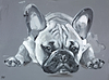 Diamonds Are A Frenchies Best Friend II