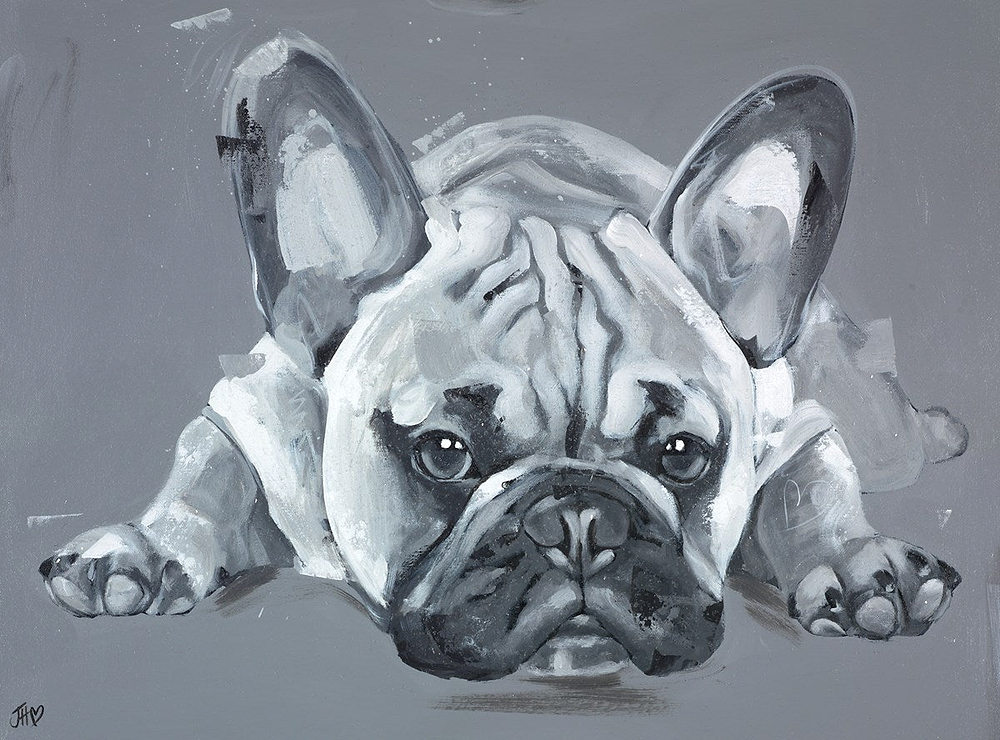 Diamonds Are A Frenchies Best Friend II