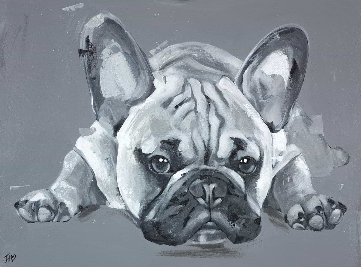 Diamonds Are A Frenchies Best Friend II