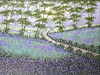 Springtime Bluebells