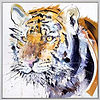 Tiger (Framed)