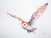 Flying over the Meadow