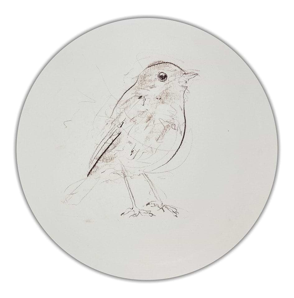 Robin Sketch III