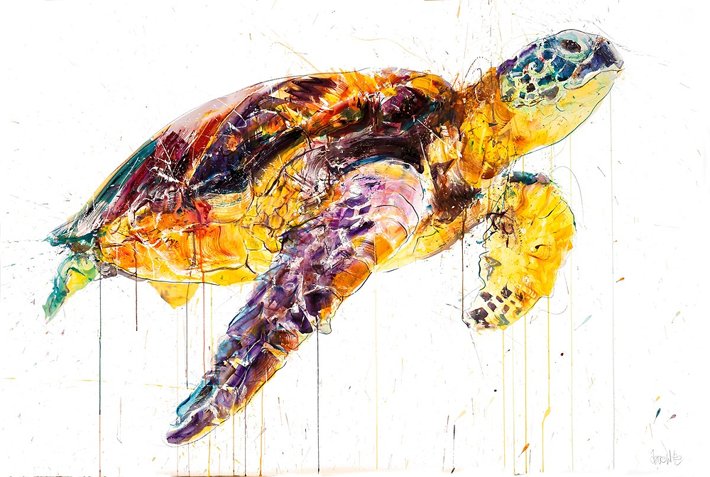 Sea Turtle 2020 (AP)