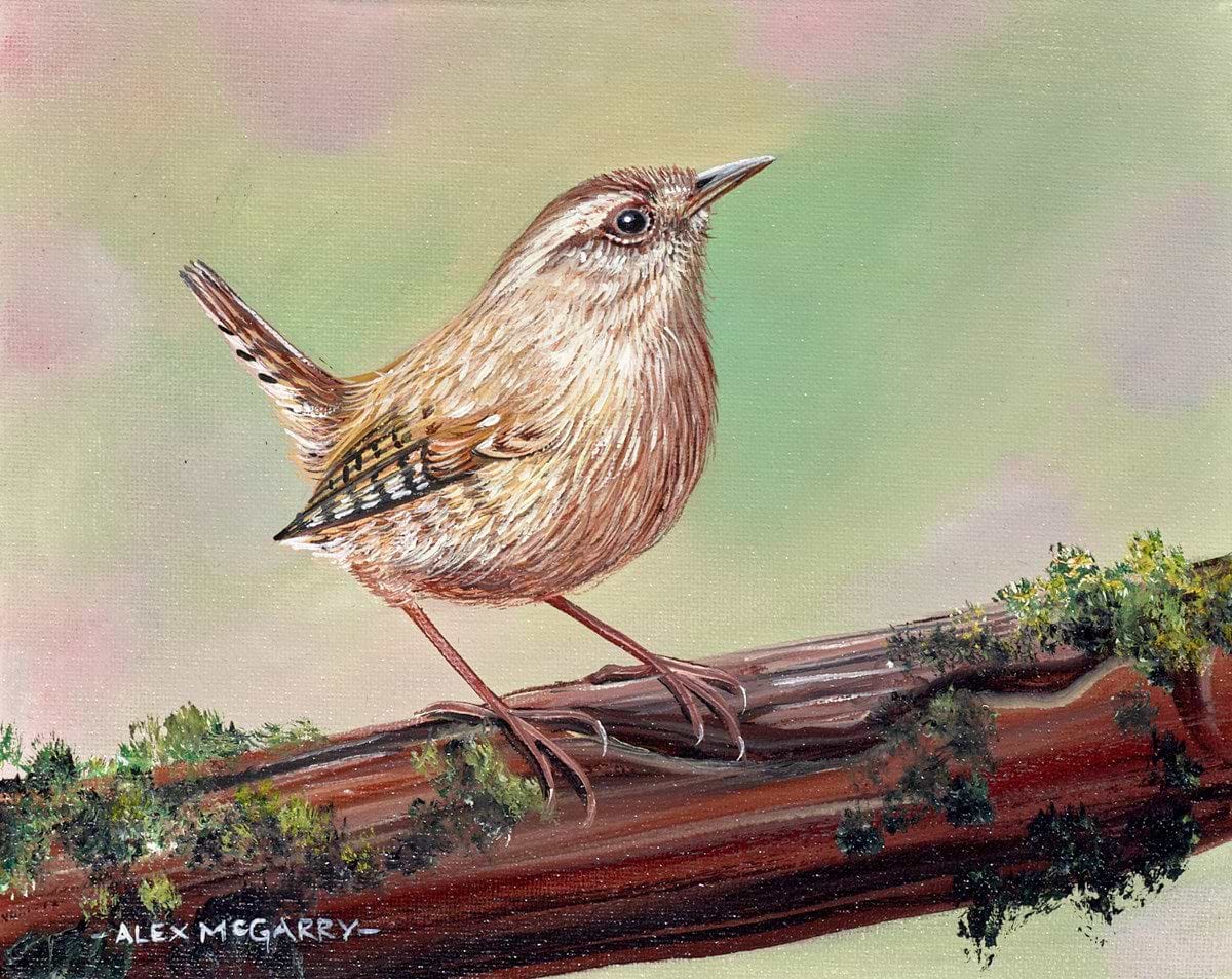 Wren III