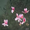 Magnolia and Bee's