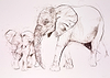 Elephant III
