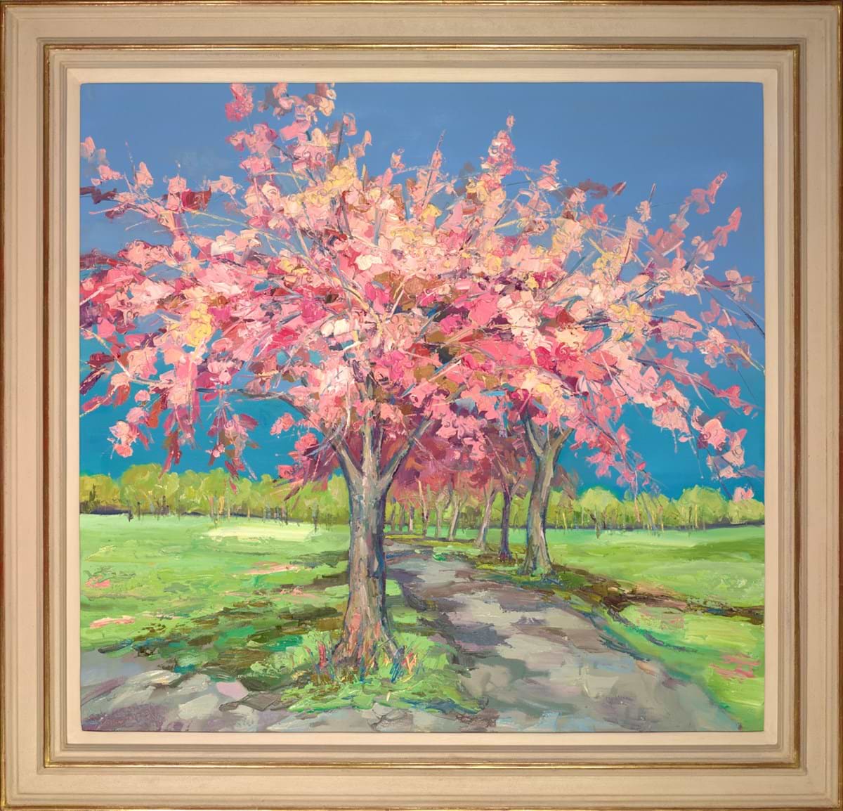 Beautiful Cherry Blossom, The Meadows | Judith Bridgland