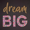 Dream Big