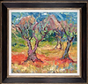 Olive Trees Next to Vincents Sanitorium