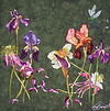 The Emperors Flowers