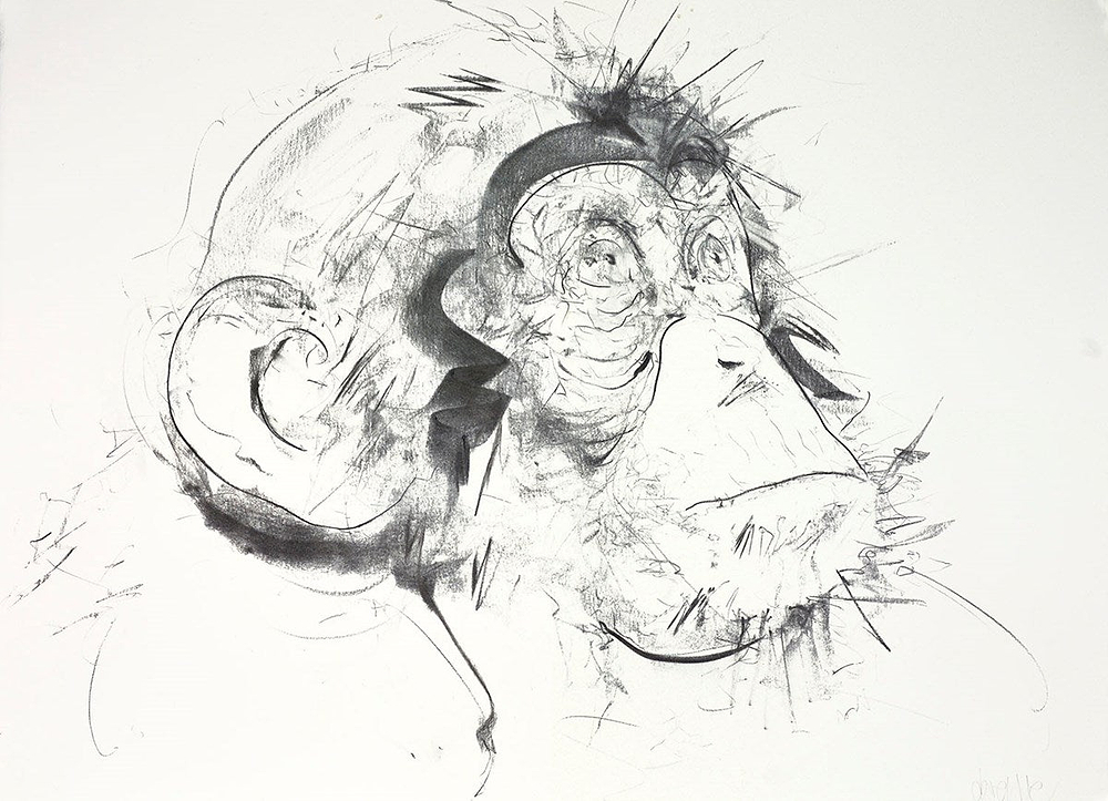 Chimp III (Study)
