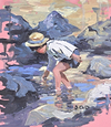 Rockpool Adventure